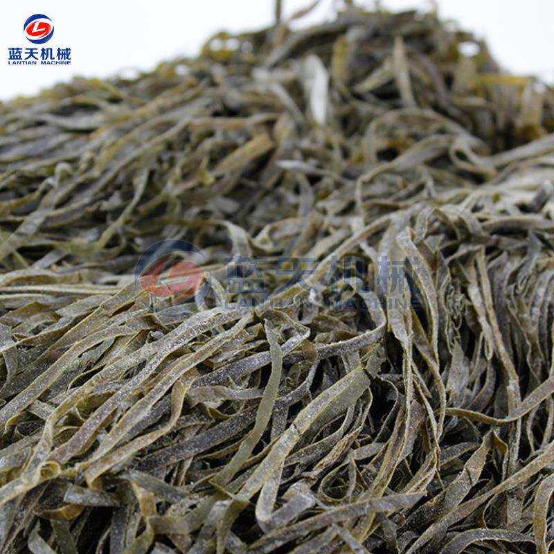 海带烘干机 小型全自动海带丝海带结烘干箱 电加热海带片烘干设备