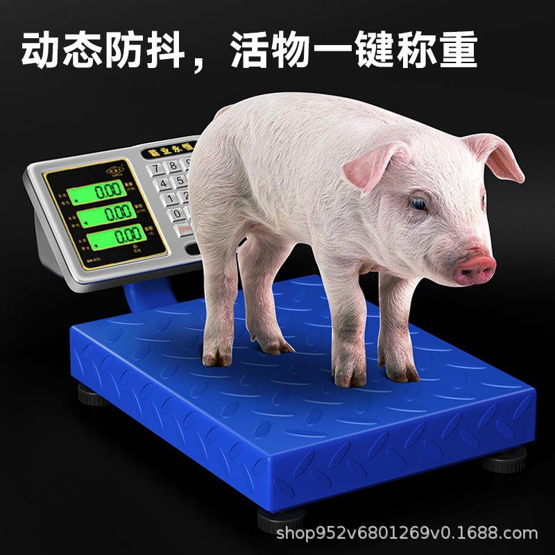 手提台秤电子秤商用小型便携卖菜快递称重电子称家用公斤磅秤