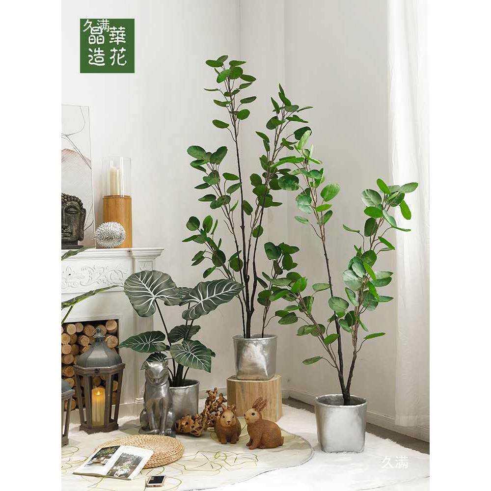 落地植物盆栽居陈列摆件绿植网红大叶子景观树假芭蕉叶