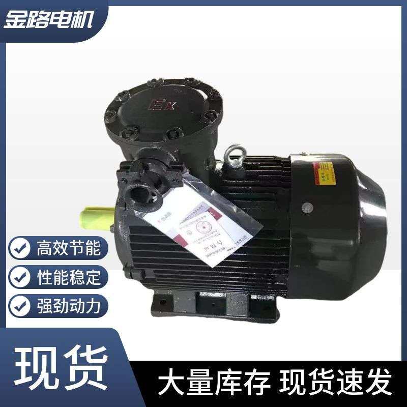 衡水金路电机厂家生产销售YBX4隔爆2级4级6级电机各种型号电动机