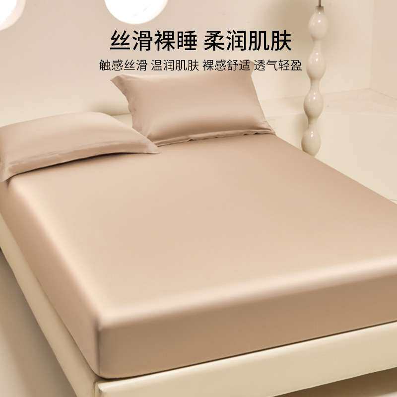 新款夏天天丝床笠单件夏季凉感冰丝床罩床单套床垫保护罩2025新款