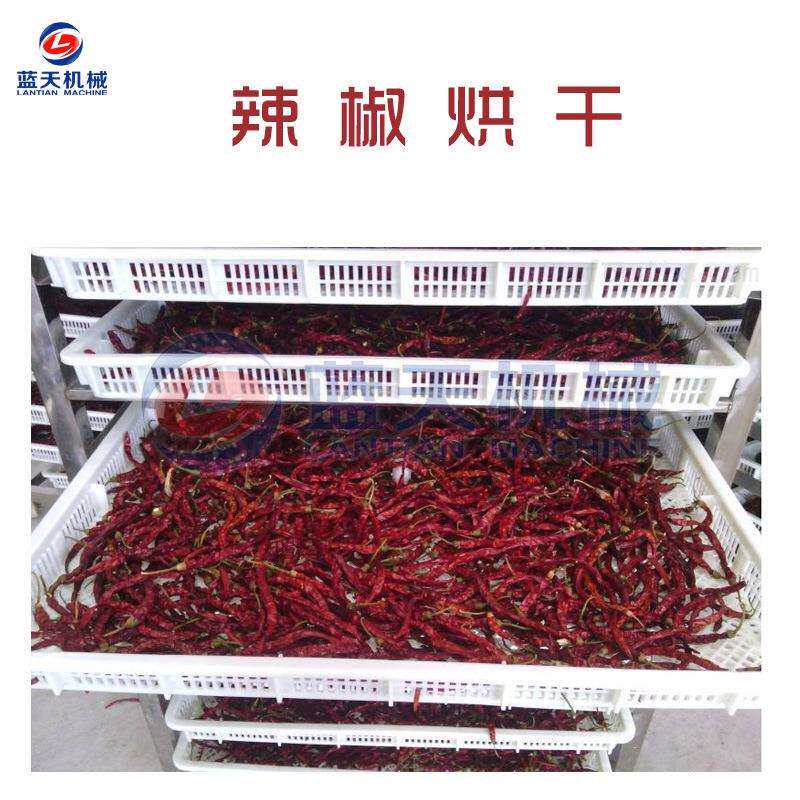蓝天辣椒烘干机小型 电加热青红辣椒烘干机 朝天椒尖椒烘干箱设备