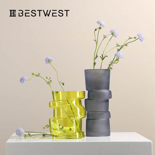 Best west 不规则透明玻璃花瓶插花器摆件家居客厅玄关桌面装饰品