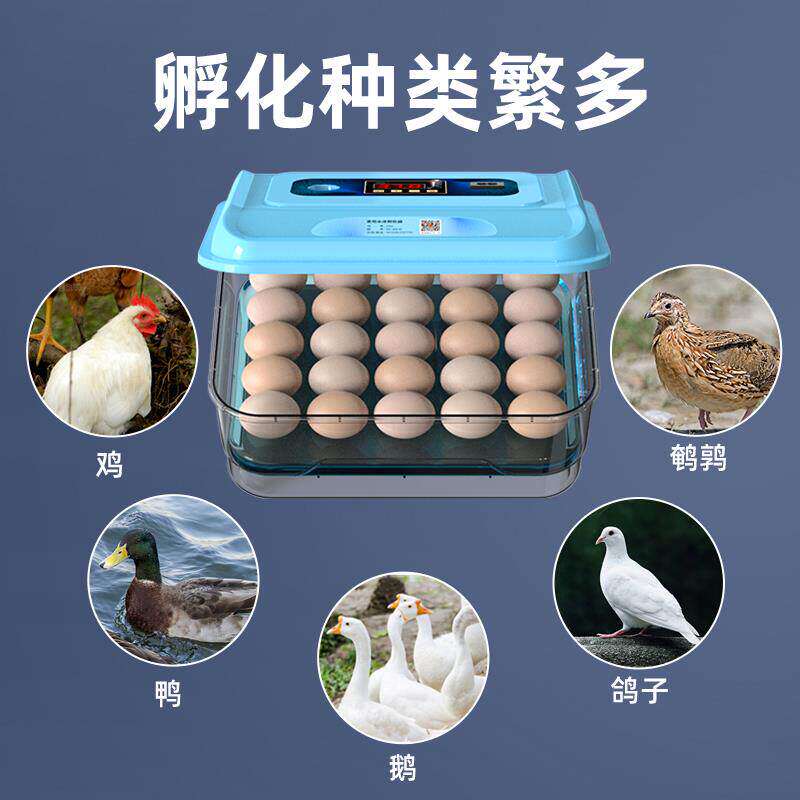 小型家用水床孵化器孵蛋器型智能孵化机小鸡鸭鹅鸟自动控温孵化箱