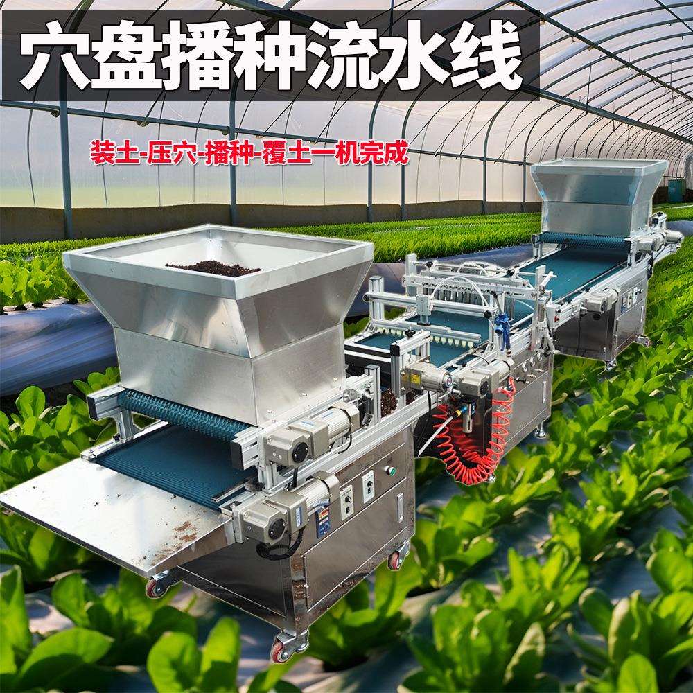 番茄电动种植机点播机蔬菜穴盘覆土压穴播种一体机针吸式辣椒花卉