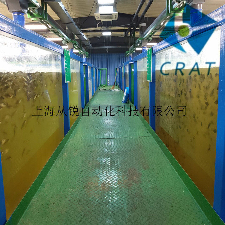 上海从锐工厂化循环水养殖设备/波斯顿龙虾工厂化养殖系统设计