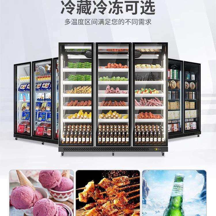 冷冻展示柜商用冰柜立式食品冻品低温速度柜冰淇淋超市冰柜