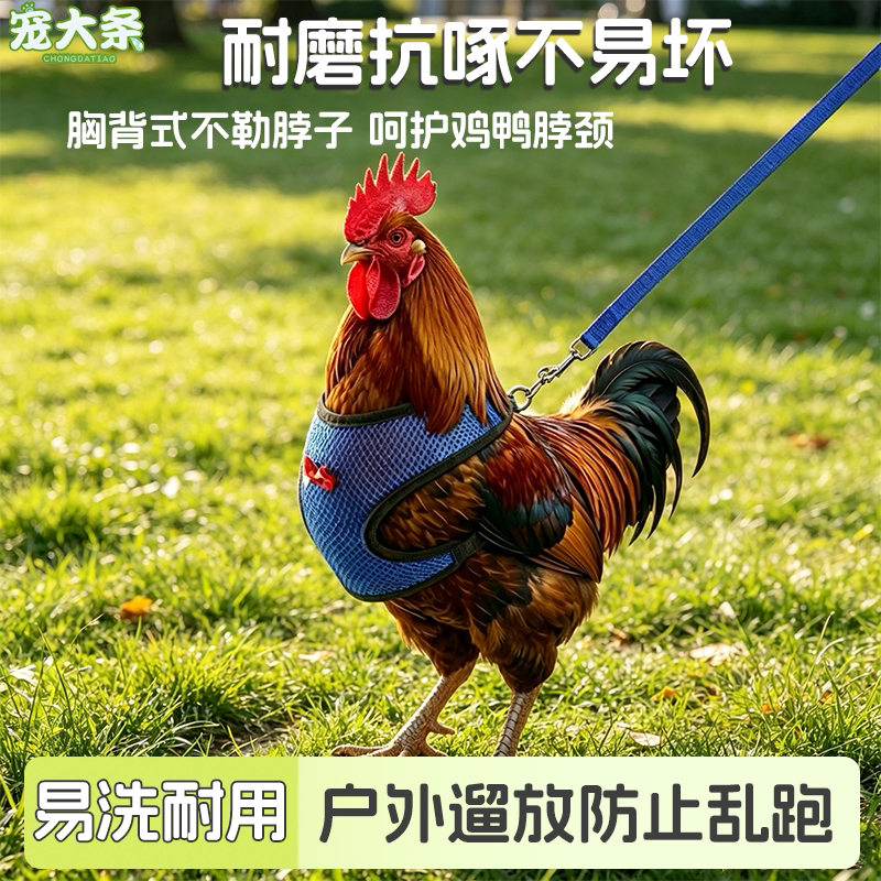 透气溜鸡牵引绳背心式胸背带鸭鹅家禽训练遛弯外出神器宠物专用