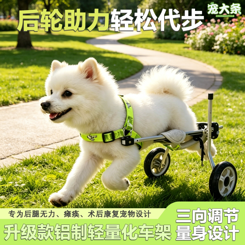 狗狗康复后肢辅助后腿助行器残疾瘫痪老年猫狗代步车通用锻炼康复