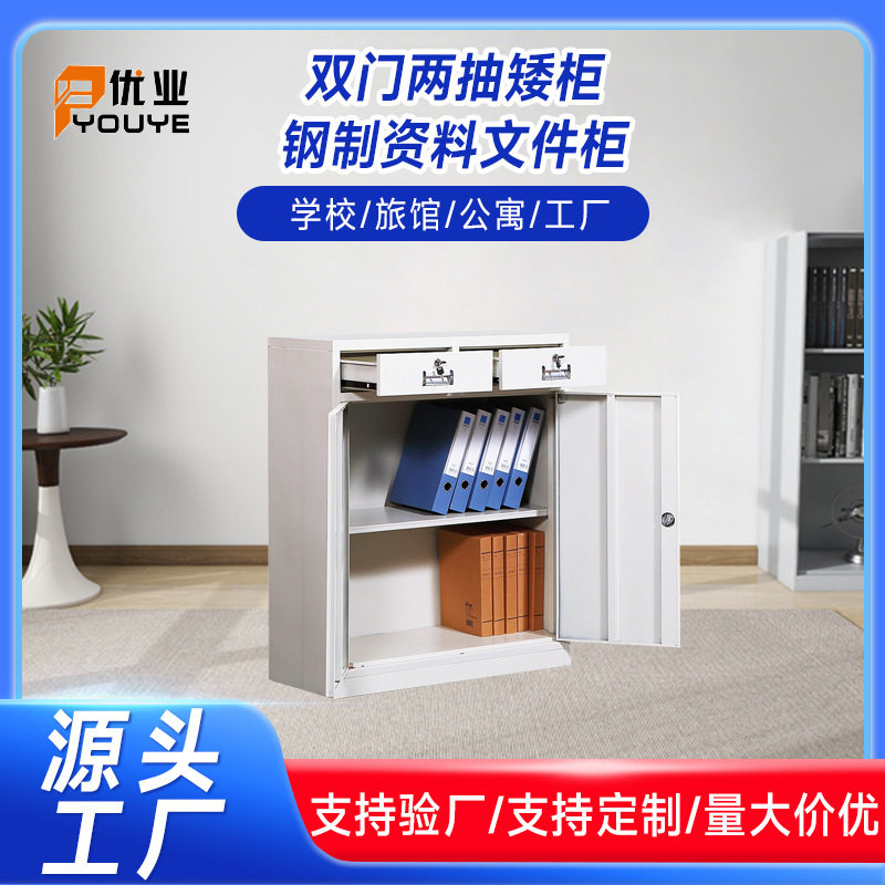 双门两抽矮柜钢制资料文件柜批发 办公铁皮柜档案白色文件柜厂家