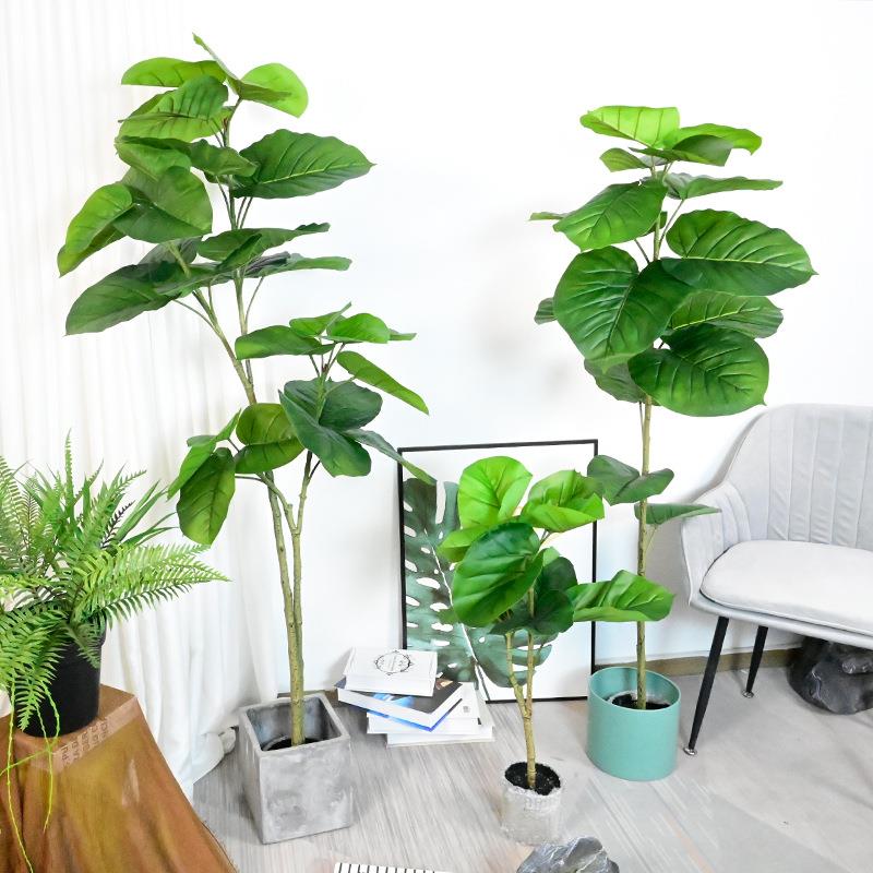 心叶榕落地盆栽菩提树室内假植物客餐厅假树橱窗软装设计真