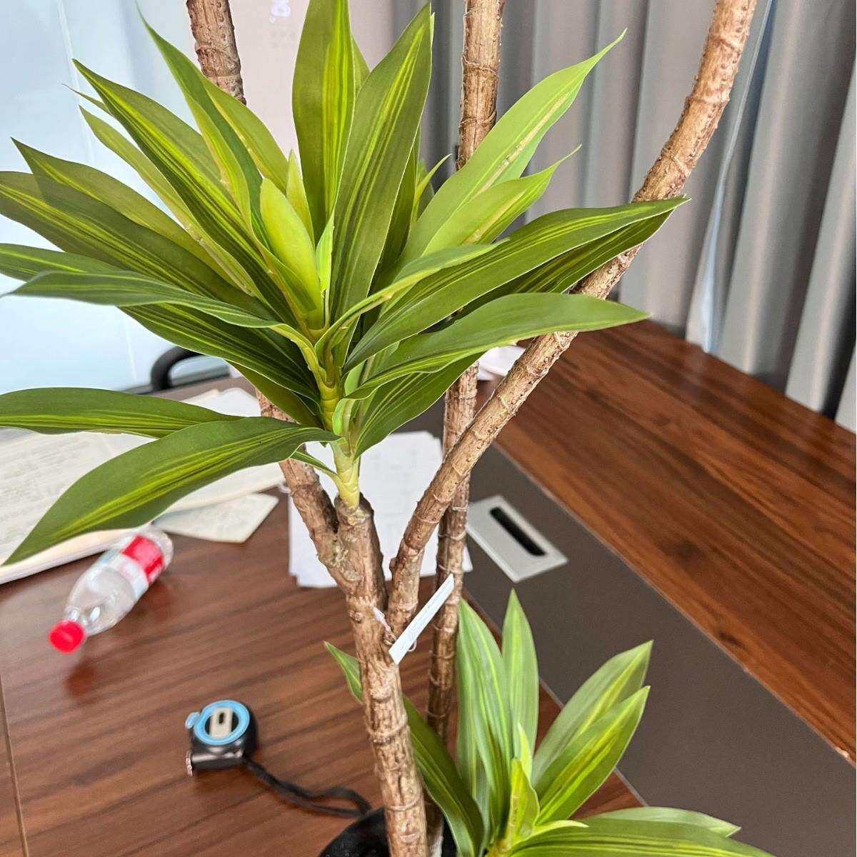 仿真绿植百合竹盆栽北欧风格室内客厅家具假植物装饰落地式摆件