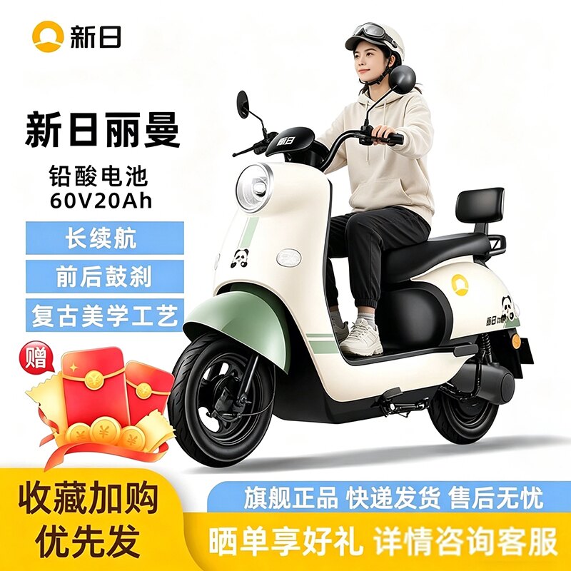 新日丽曼铅酸电池60v20Ah长续航