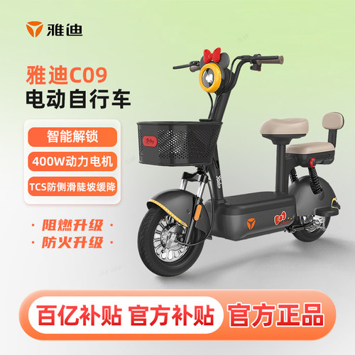 雅迪C09新国标智能电动车48V21ah