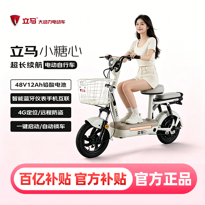 立马小糖心铅酸电池48V12Ah智能