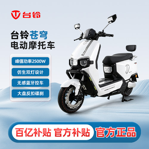 台铃智能铅酸电池72V24Ah长续航