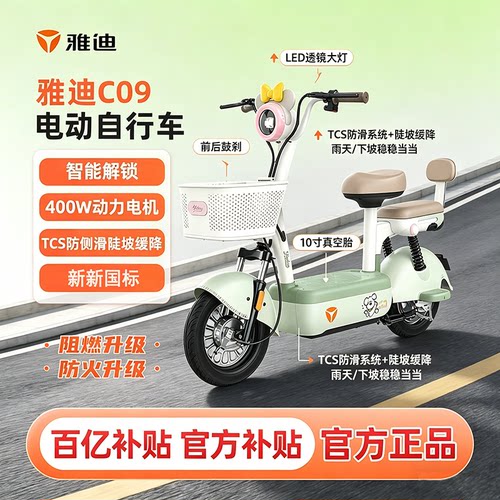 雅迪C09新国标智能电动48V21Ah