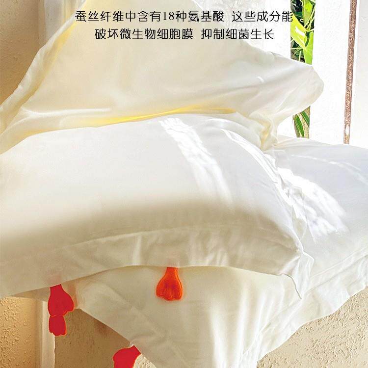 A类儿童蚕丝枕可拆洗枕头和枕套一套婴幼儿园宝宝可爱枕芯低整头图片