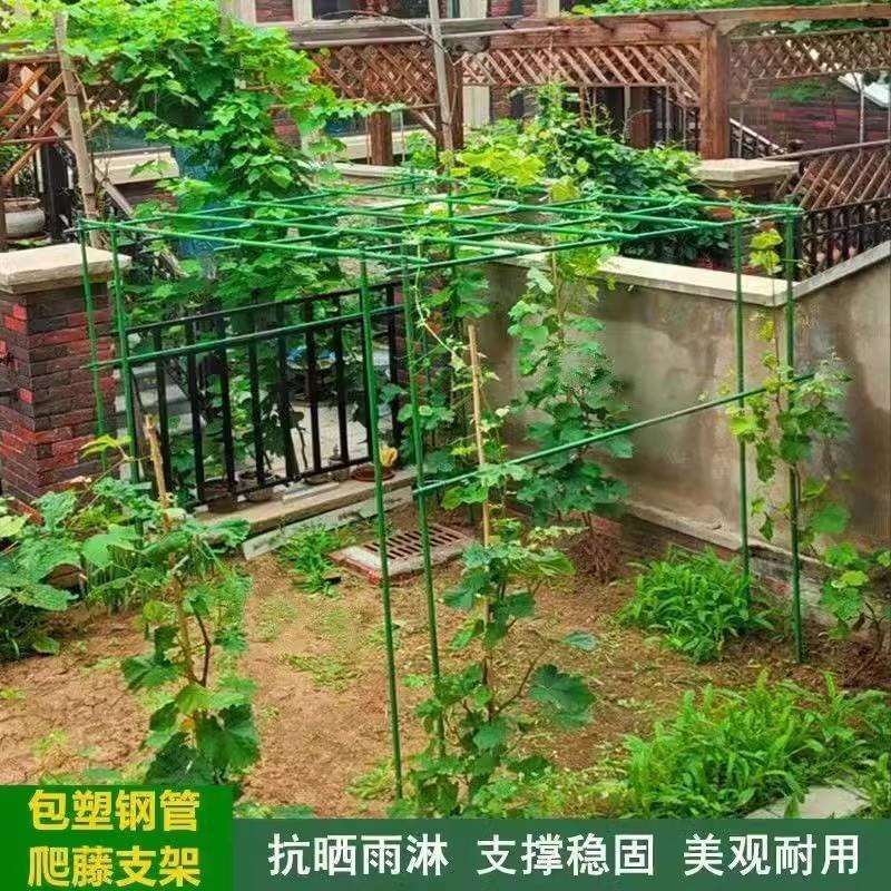 户外庭院园艺葡萄架爬藤花架组装支架黄瓜丝瓜豆角月季植物攀爬架