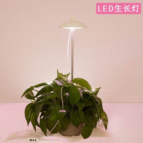 植物灯生长灯led全光谱仿太阳室内家用花卉光照育苗补光植物灯50W