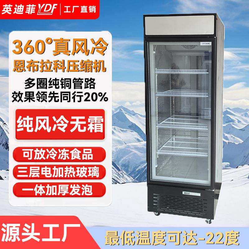 商用冷冻柜立式冷冻展示柜速冻肉类冻品单门立式冰箱低温冰柜