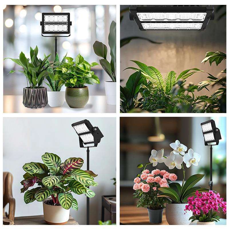 100W全光谱植物生长灯室内热植泛光多肉盆栽花卉景观植物补光灯