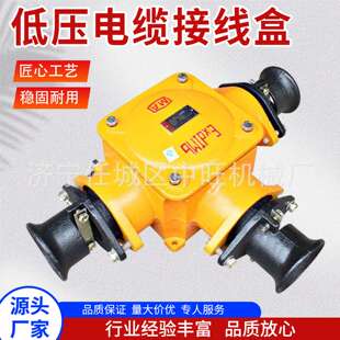矿用隔爆低压电缆接线盒低压电缆接线盒分线盒100A防爆二通接线盒