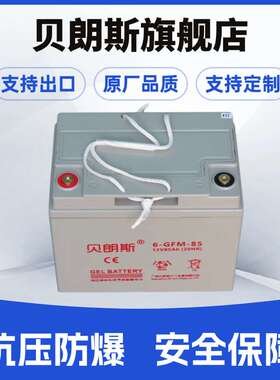 合力蓄电池 6-GFM-85 叉车动力电瓶12V85Ah 小金刚电池厂家
