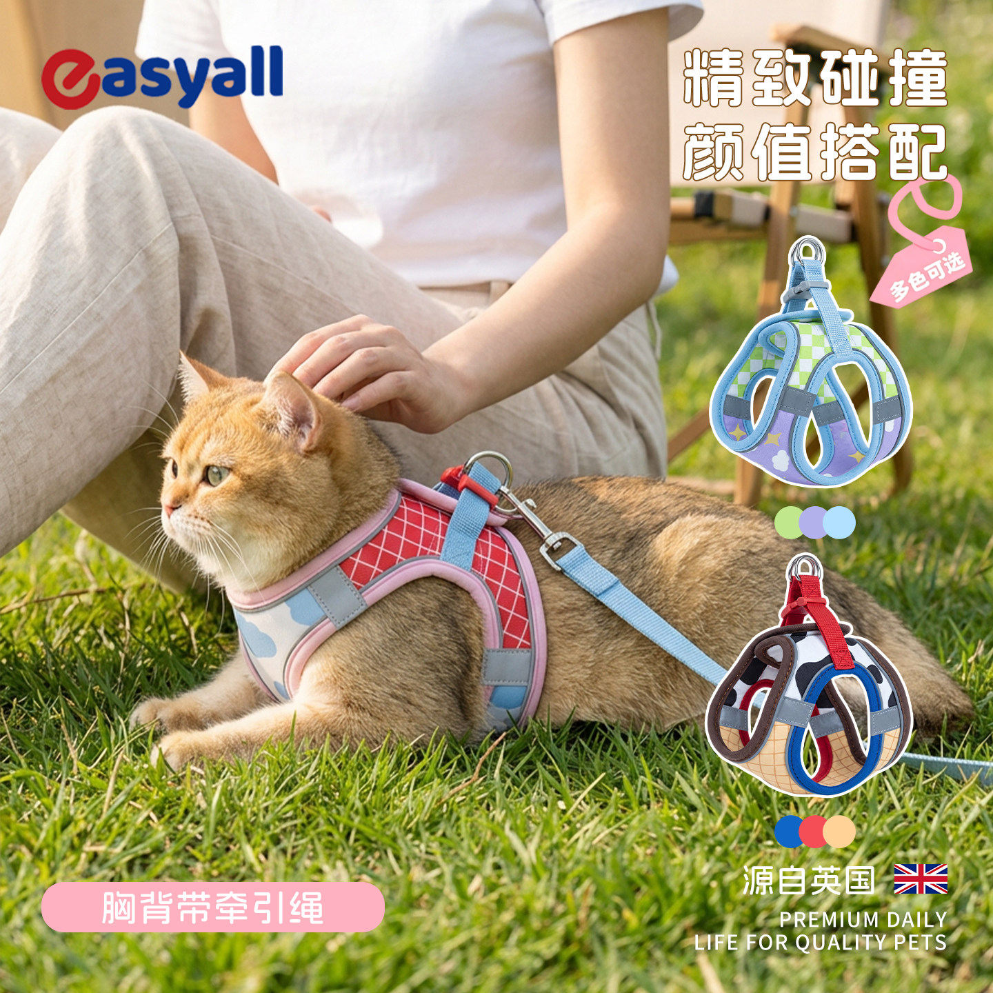英国胸背带猫咪牵引绳防丢防挣脱图片