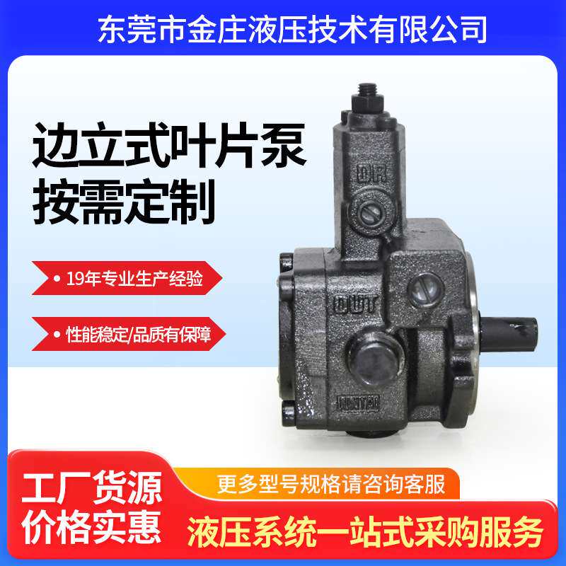 厂家供应液压系统 注塑机液压配件叶片泵VP-20低噪音变量高压油泵