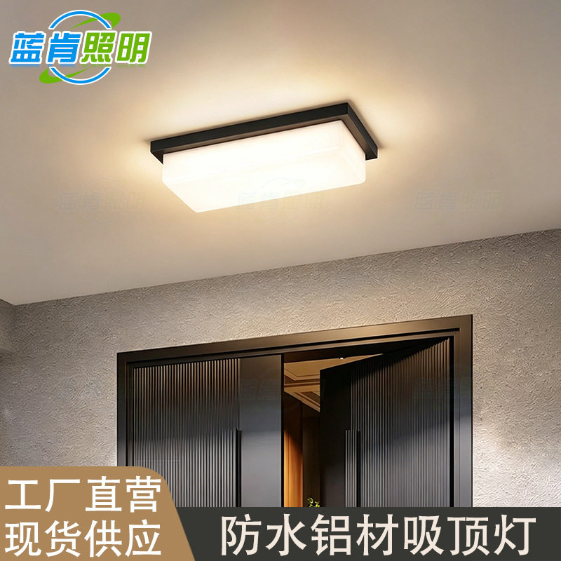 户外防水吸顶防潮防蚊虫别墅入户门庭院走廊阳台三防led吸顶灯
