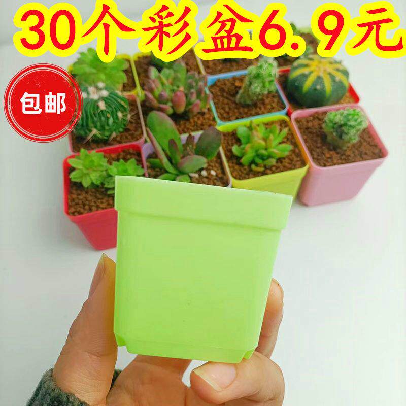 多肉小花盆塑料小带托盘花盆彩色叶插迷你植物7厘米方一件