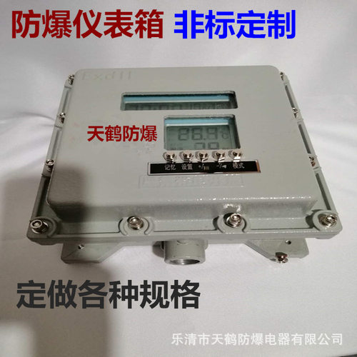 防爆仪表箱防爆箱 防爆称重显示控制仪表箱 温控带按键防爆仪表箱
