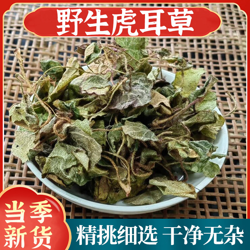 野生虎耳草材干货虎儿草通耳草老虎耳金线吊芙蓉金丝荷叶