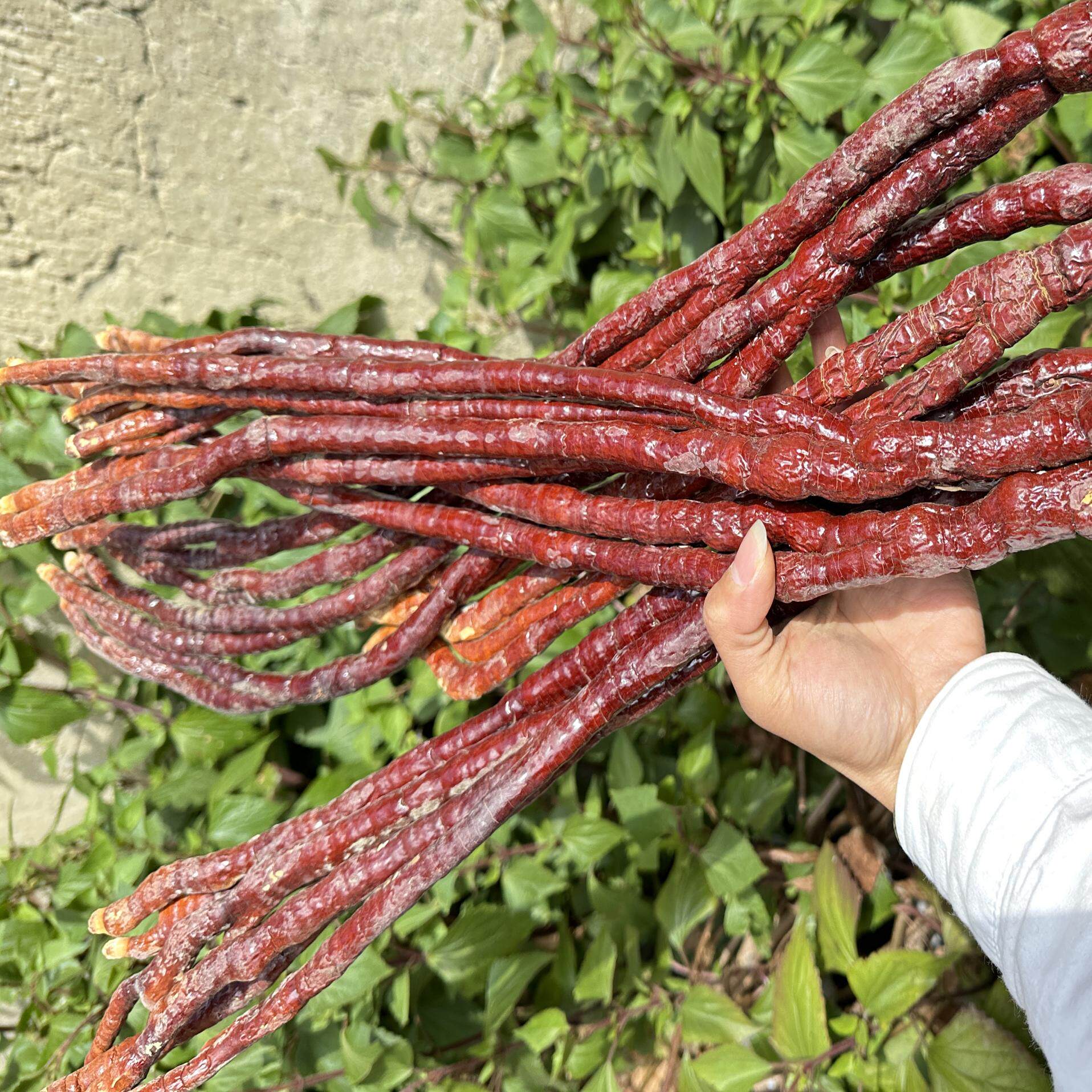 【鹿角灵芝】云南土特产    野生灵芝煮水，泡水500克