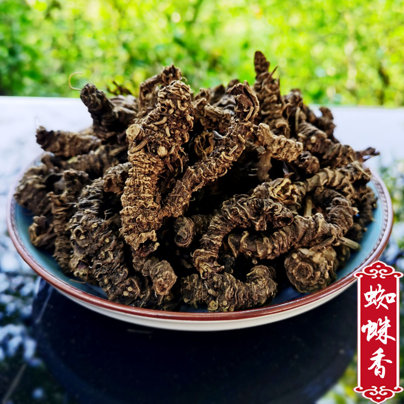 贵州野生蜘蛛香材 整棵新干货500g无硫缬草根自采养心莲