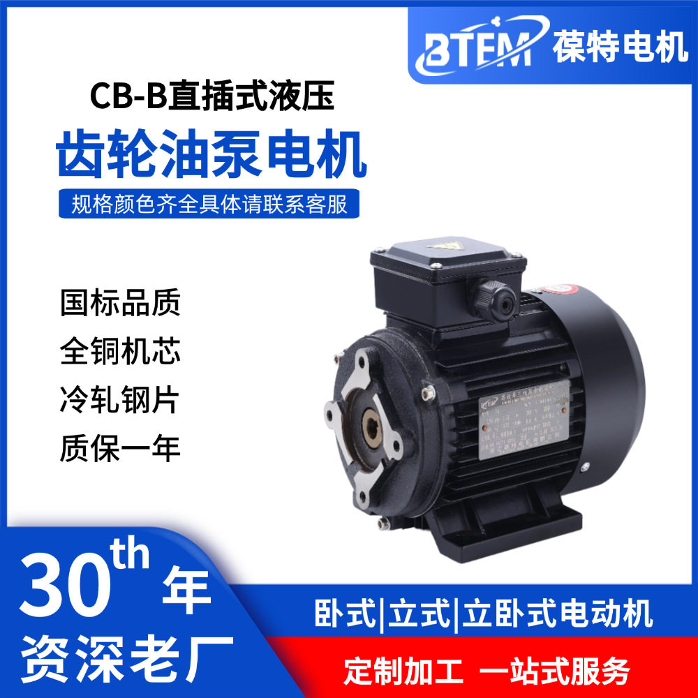 三相异步电机齿轮油泵CB-B/HGP1A/TOP/BB16国标380V纯铜马达