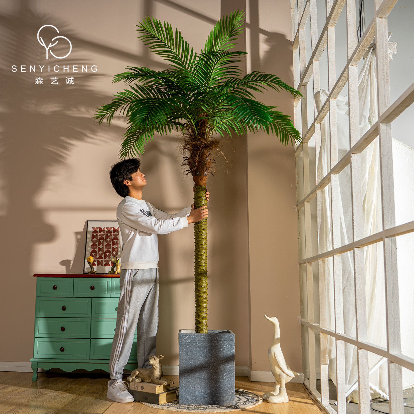 针葵棕榈散尾葵绿植植物盆栽室内客厅造景装饰椰子树大型假树棕榈