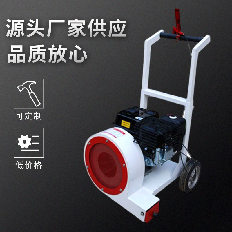 工业吹风机手推式路面清扫雪机汽油沥青马路树叶清理机除尘吹雪机