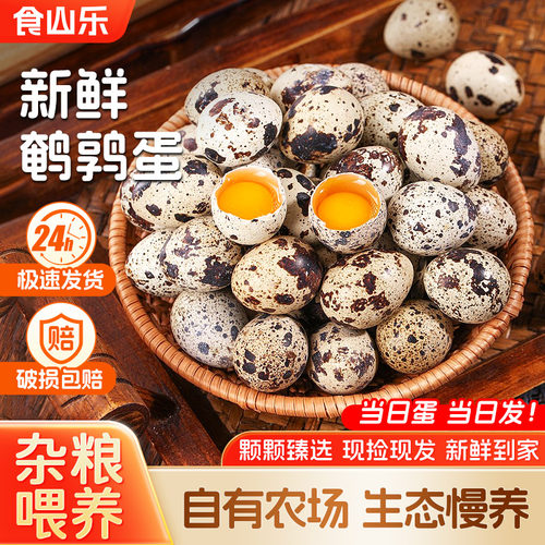 食山乐新鲜散养鹌鹑蛋100枚