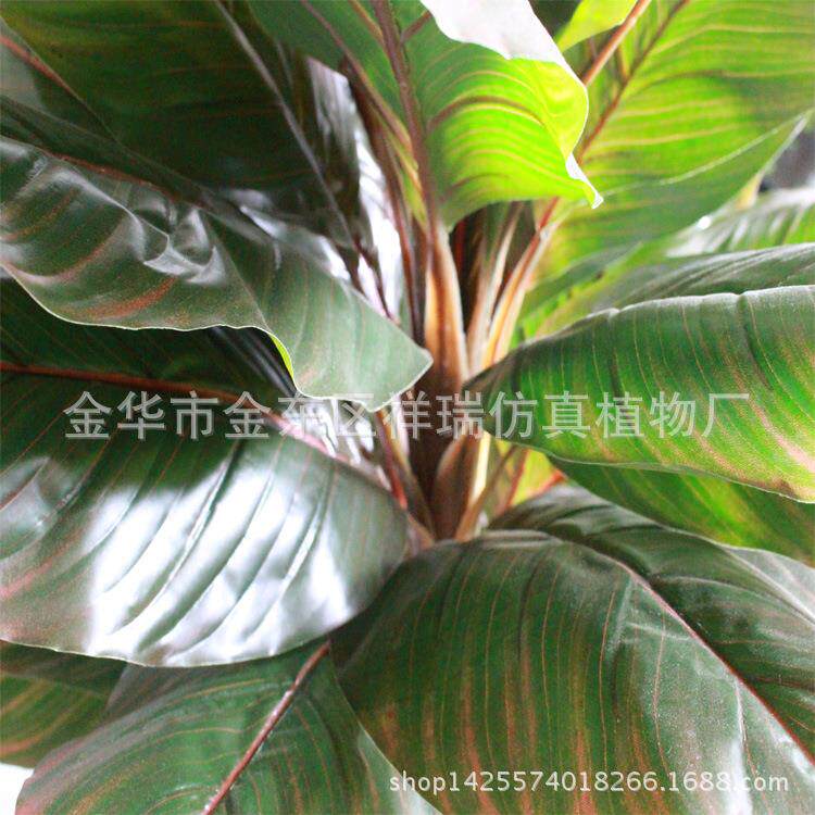 仿真植物假树叶美人蕉叶树非洲象腿蕉叶落地盆景客厅厂家