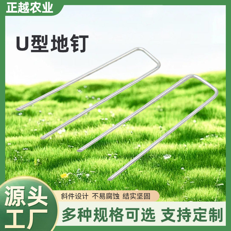 地布钉防草布地钉U型园艺钉三维网草坪地膜钉钢丝斜尖镀锌固定钉