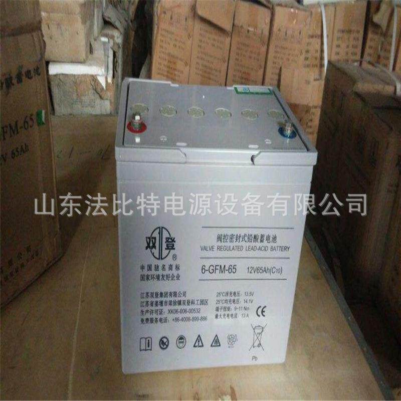 双登铅酸蓄电池6-GFM-10/12V10AH支持到货付款质保三年