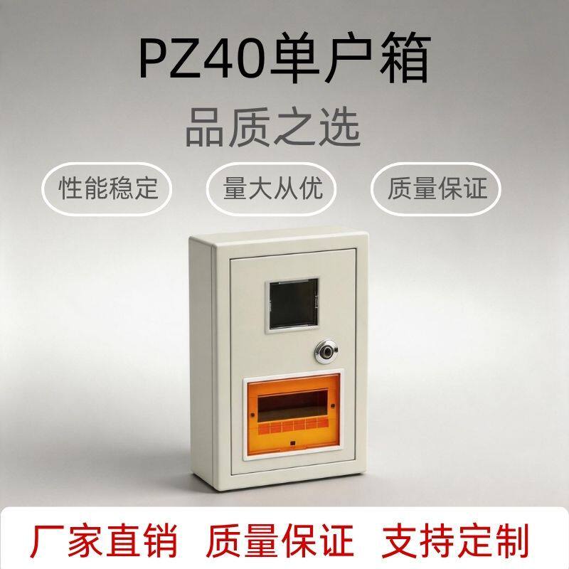 PZ40单户电表箱冷轧钢板明装单相电子表箱家用入户计量配电箱可