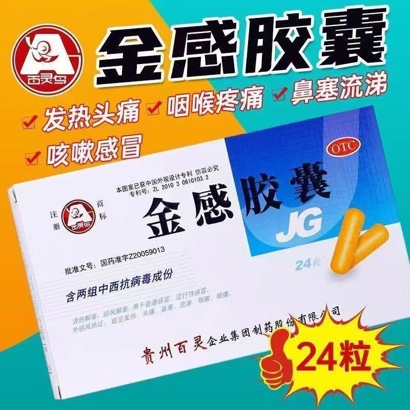 百灵鸟金感胶囊24粒清热感冒咳嗽发热头痛咽喉疼痛鼻塞流涕OTC - 实物图