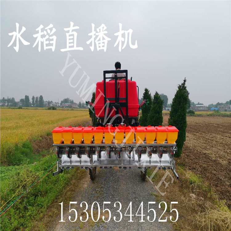 新型自动水稻播种机厂家供应免育秧型稻子直播机 12行水稻点播机