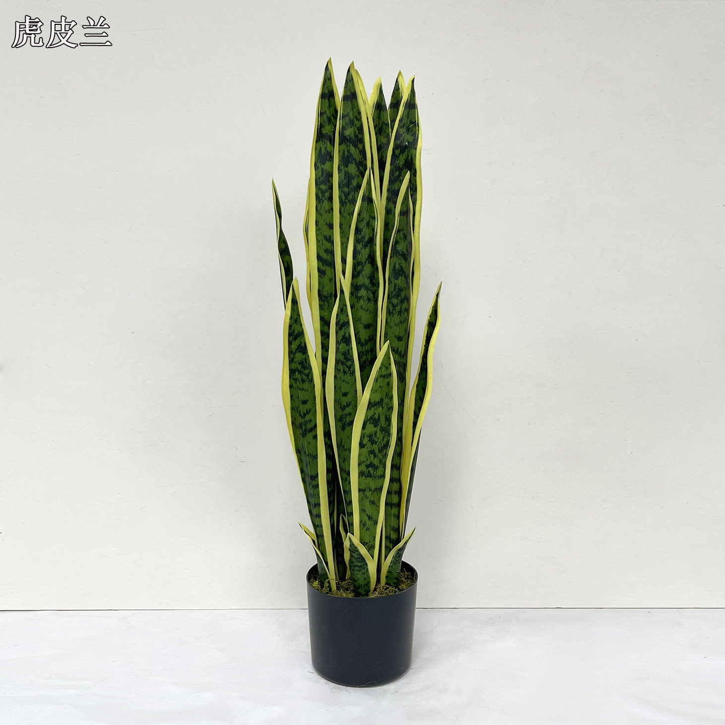 北欧室内虎皮兰仿真落地盆栽