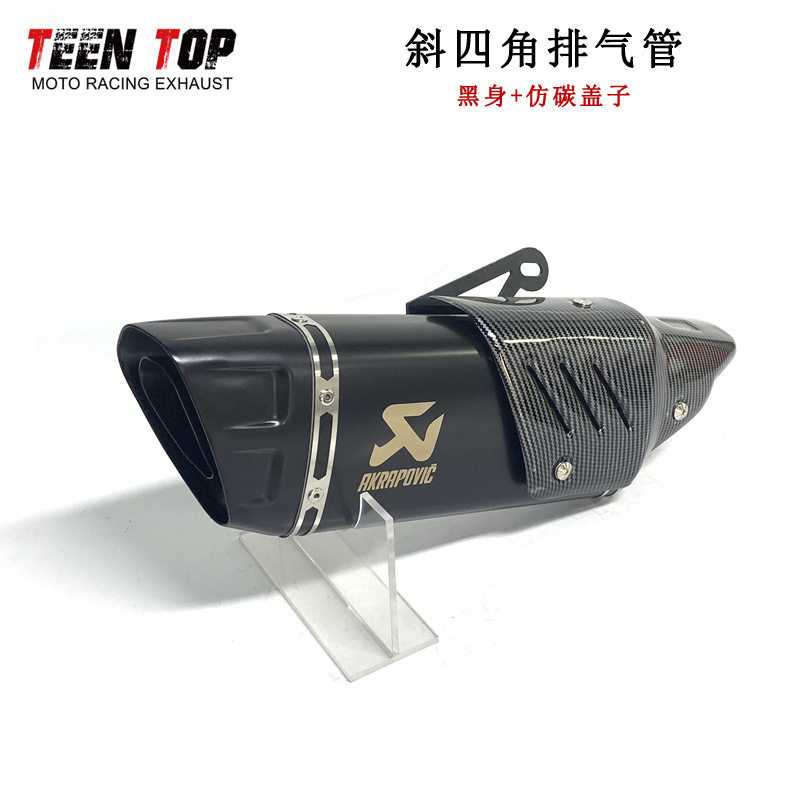 GSX250黄龙600NK650Ninja400R1R6碳纤维天蝎摩托排气管改装真碳