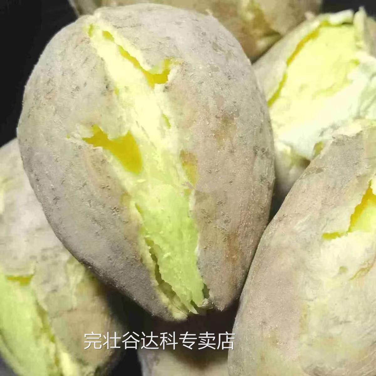 正宗潮汕现挖黄心板栗薯香甜软糯粉无公害绿色食品农家鸡蛋番薯瓜