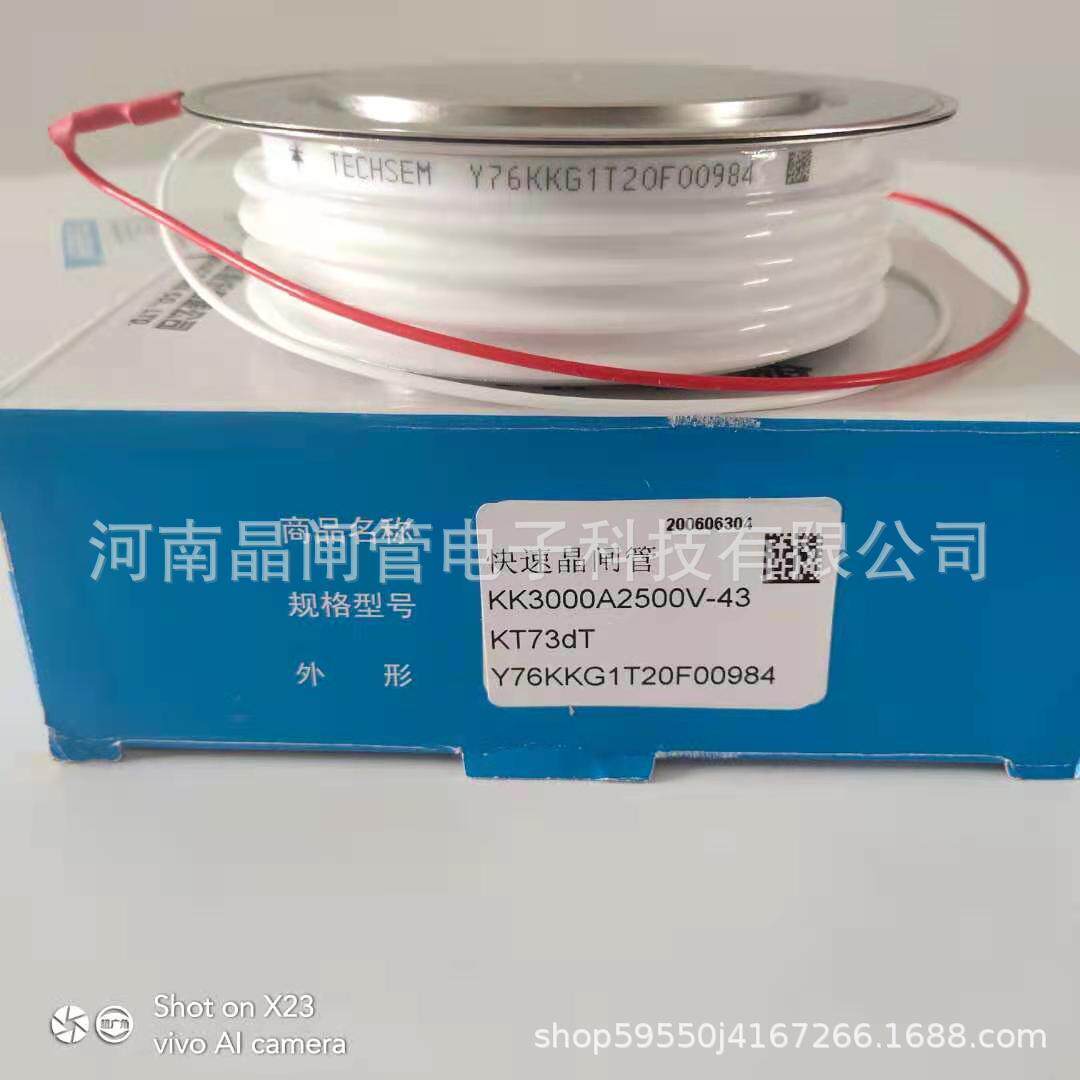 TECHSEM湖北台基可控硅Y89KKG3000A2500V3000V中频炉快速晶闸管
